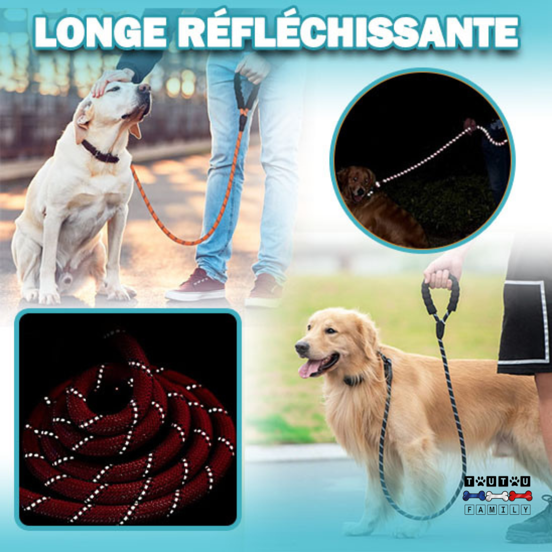 Longue laisse pour chien - LaisseToutou™