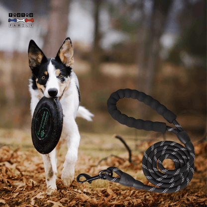 Longue laisse pour chien - LaisseToutou™