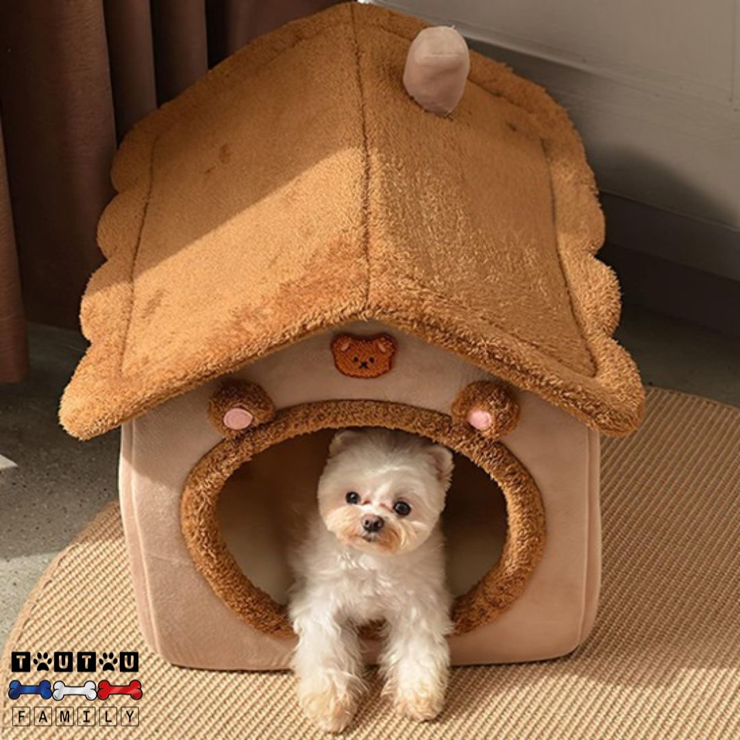 niche-chien-interieur-ours-chiot-petit-chien-un-chien-de-petite-race-couché-confortablement-dans-sa-niche