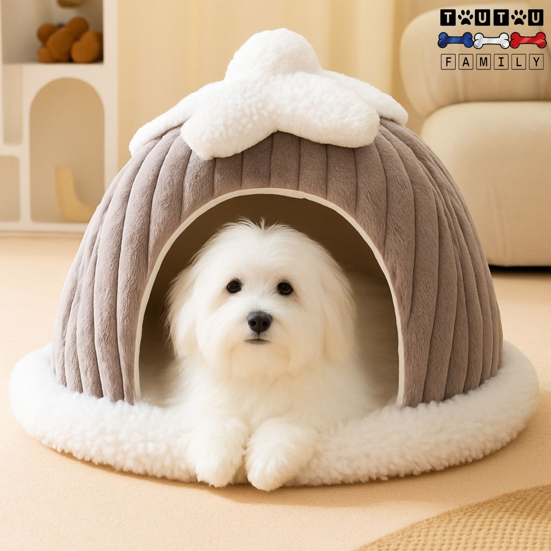 niche-interieur-pour-chien-grotte-un-coton-de-tuléar-couché et paisible dans sa niche en forme de dôme entourant et sécurisant-niche anti-anxiété-lit-chaud-et-aérée-antidérapant-et-imperméable-lavable-en-machine-avec-oreiller