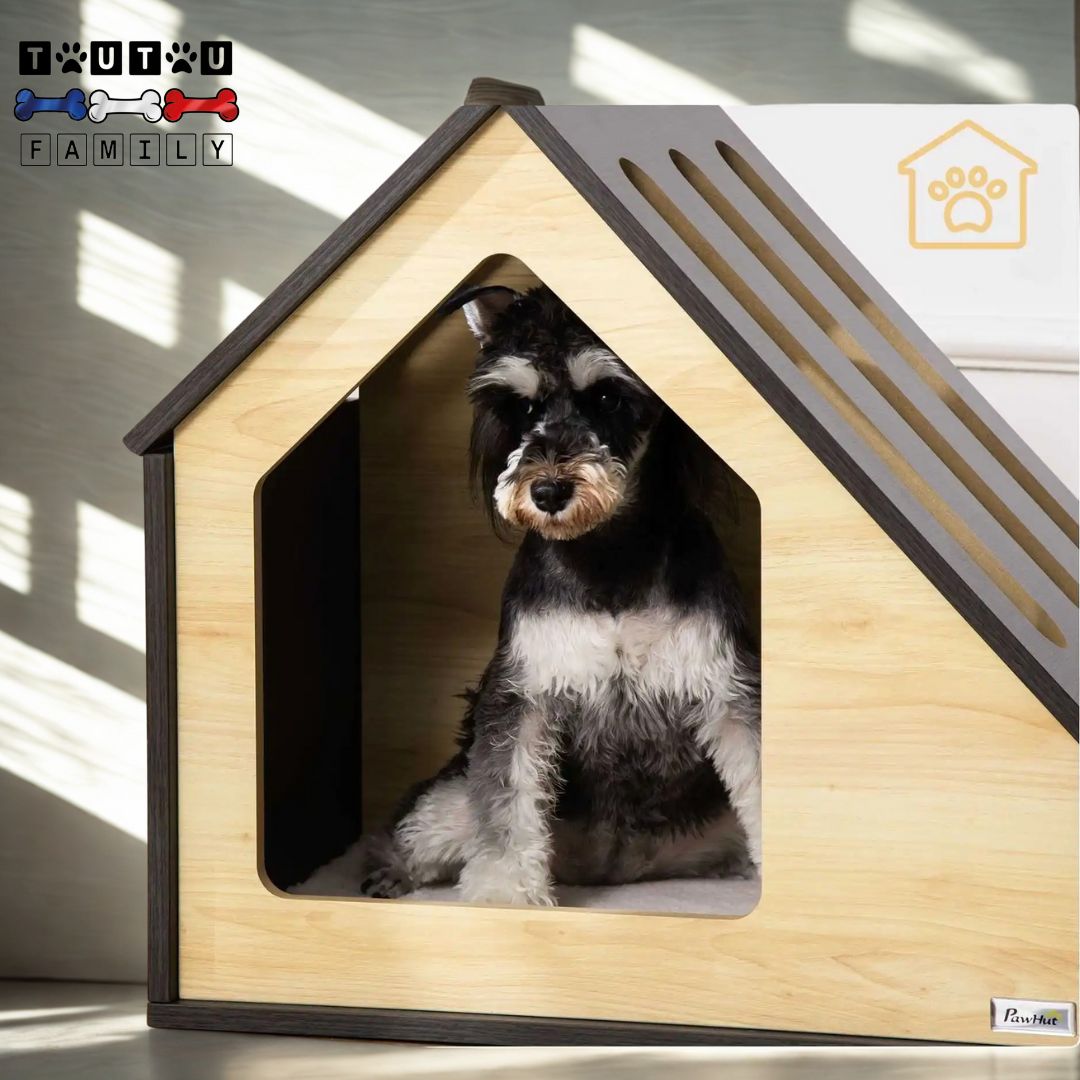 niche-pour-chien-intérieur-design-bois-coussin-coton, un petit chien assis dans sa niche en bois résistante et solide avec un toit avec trois ouvertures pour une bonne ventilation, porche spacieux avec hauteur en forme de maison avec coussin intérieur épais 100 coton haute densité et sa housse imitation de peau de mouton lavable en machine-niche pour petit chien écoresponsable et écologique