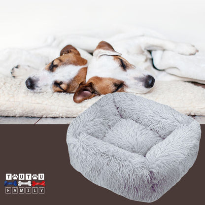 panier-anti-stress-chien-gris-clair-deux-jack-russel-qui-dorment-l-un-contre-l-autre