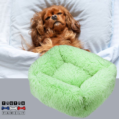 panier-anti-stress-chien-vert-un-cavalier-king-Charles-qui-dort-paisiblement-dans-son-cocon-bien-être