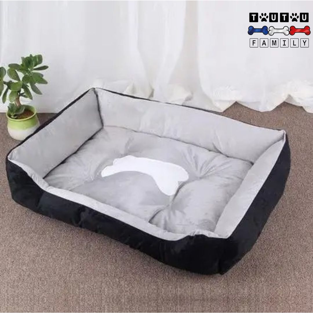Panier chien design - ChicToutou™