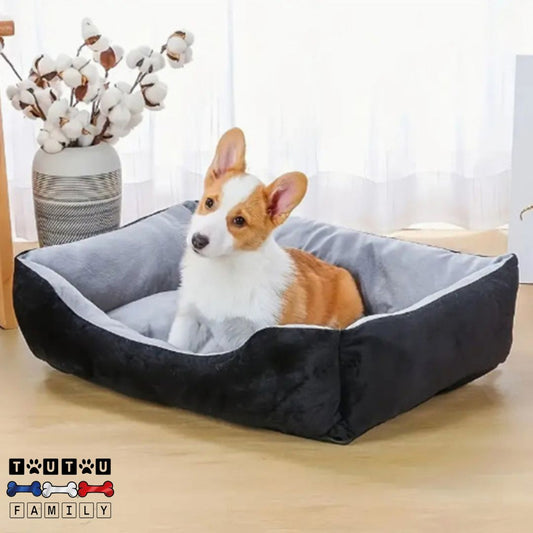 Panier-chien-design-coton-pour-chien-de-taille-moyenne-un-corgi-welsh-assis-dans-son-panier-design
