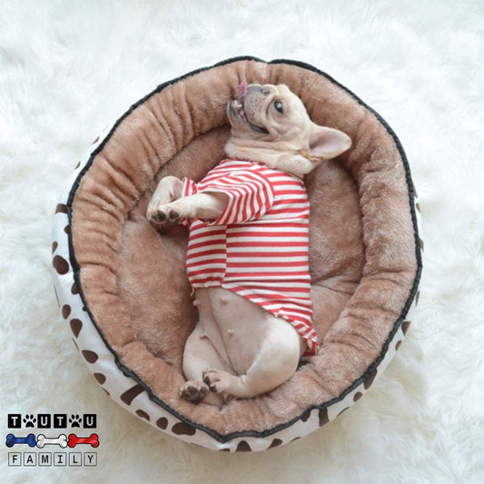 Panier-chien-réversible-avec-rebord-entourant-un-petit-chien-couché-confortablement-dans-son-panier-avec-rebord-à-360°