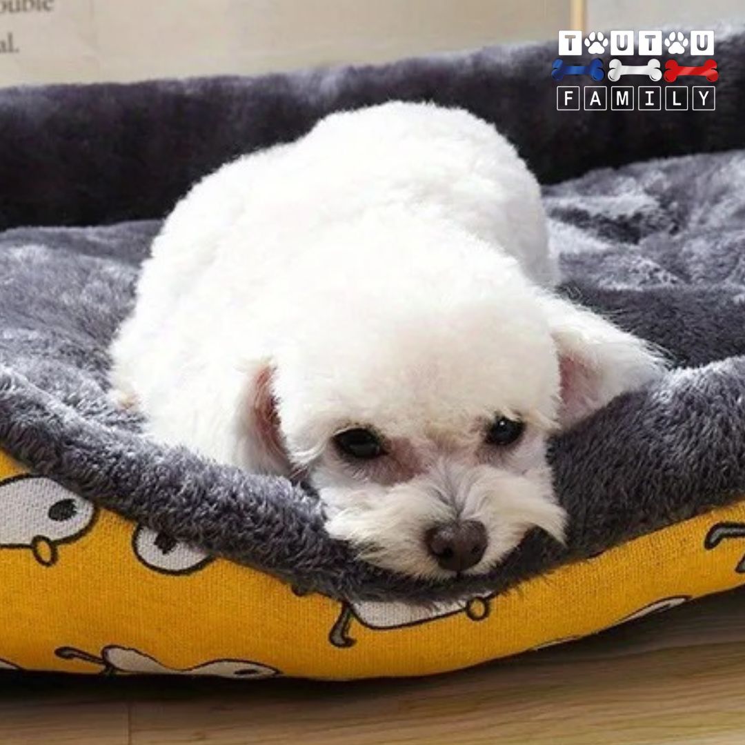 panier-chien-imprime-résistant-aux-griffes-lavable-en-machine-hypoallergénique-en-coton-respirant-un-chien-de-êtite-taille-qui-repose-sa-tête-sur-le-rebord-du-panier-tout-doux
