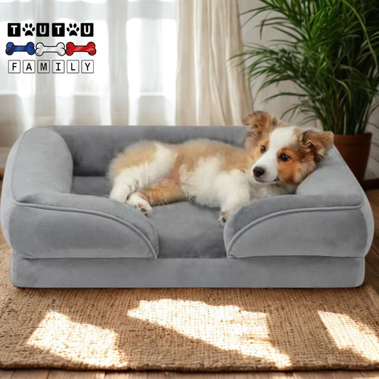 Panier-orthopedique-chien-antiderapant-un-chien-de-taille-moyenne-couché-confortablement-dans-son-panier--mémoire-de-forme-reposant-sa-tête-sur-les-rebord-surélevé-isolé-du-froid-du-sol-dans-le-salon