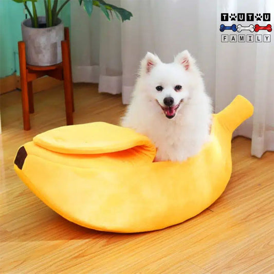 Panier-petit-chien-banane-chaud-un-chien-de-race-naine-tout-heureux-et-au-chaud-dans-son-panier-design-en-forme-de-banane-tout-doux