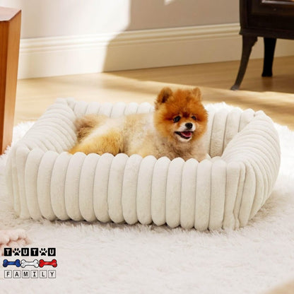 panier-petit-chien-lit-avec-rebord-360°-un-petit-chien-couché-dans-son-panier-moelleux-et-confortable-chaud-et-sécurisant-de-couleur-crème-sur-le-tapis-blanc-du-salon