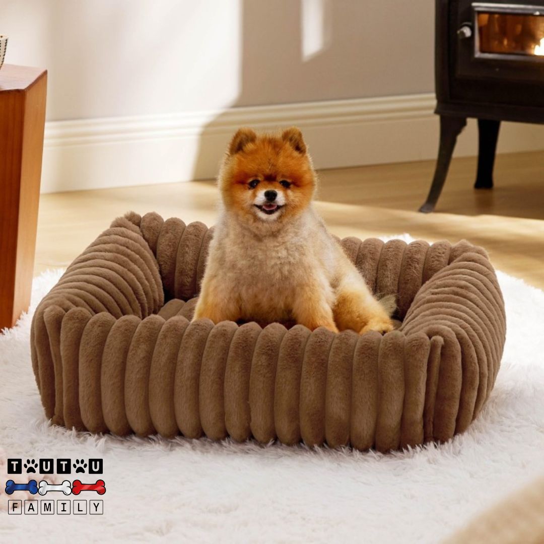 panier-petit-chien-velours-et-coton-résistant-et-solide-rectangulaire-un-petit-chien-assis-confortablement-dans-son-panier-marron-avec-coussin-entourant-et-ergonomique