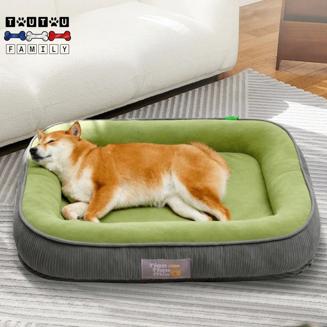 panier-pour-chien-ergonomique-résistant aux griffes, aux morsures, déhoussable, housse en daim douce pour les peaux sensibles, rembourrage 100 coton haute densité hypoallergénique, écoresponsable, un chine de taille moyenne qui dort confortablement dans son panier