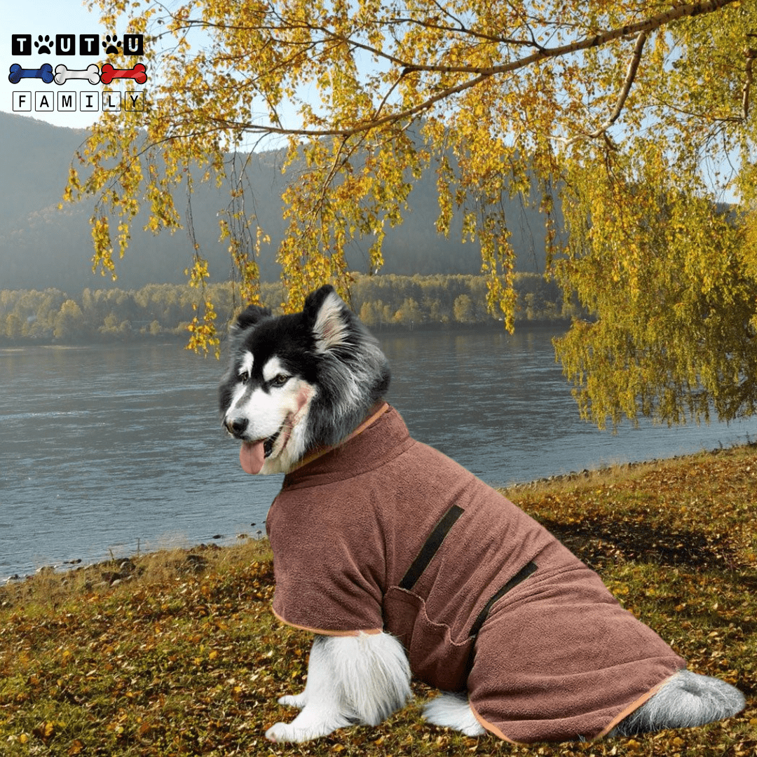 Peignoir pour chiens - PeignoirToutou™