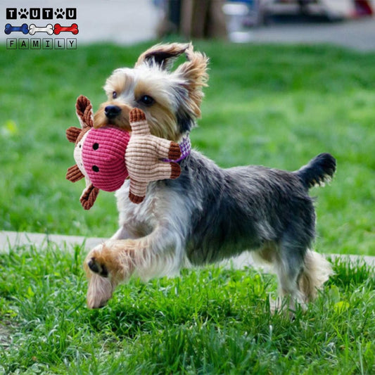 Peluche-chien-sonore-jouet-d-occupation-et-interactif-doux-et-solide-réconfortant-pour-les-chiot-et-chiens-anxieux