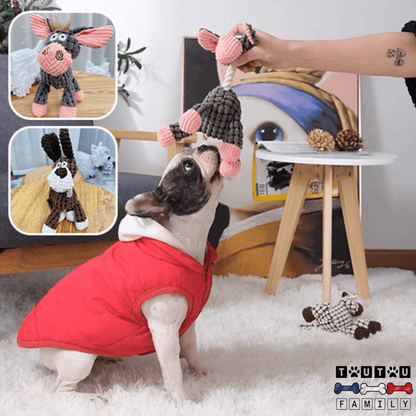 peluche-pour-chien-durable