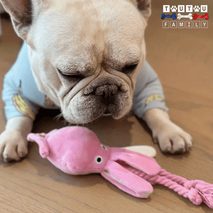 peluche-pour-chien-douce