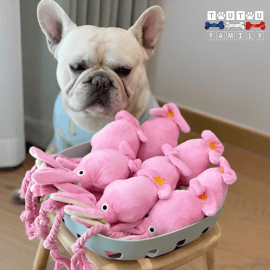 peluche-pour-chien