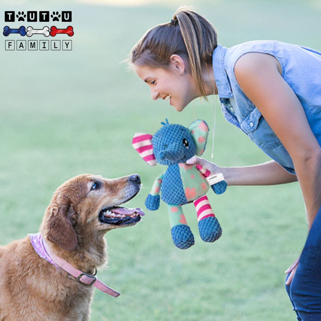 peluche-pour-chien-peluche-chiot-anti-anxiete-un-chien-de-grande-taille-au-parc-qui-joue-avec-son-maître-au-lancer-rapporter-avec-la-peluche