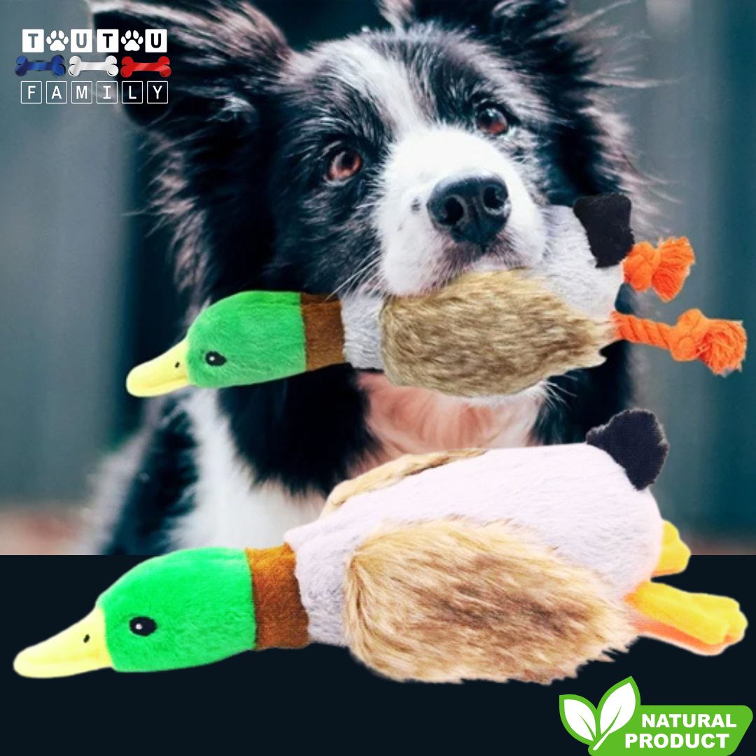 peluche-pour-chien-canard-solide-douce-jouet-pour-chiot-et-chien-de-petite-taille