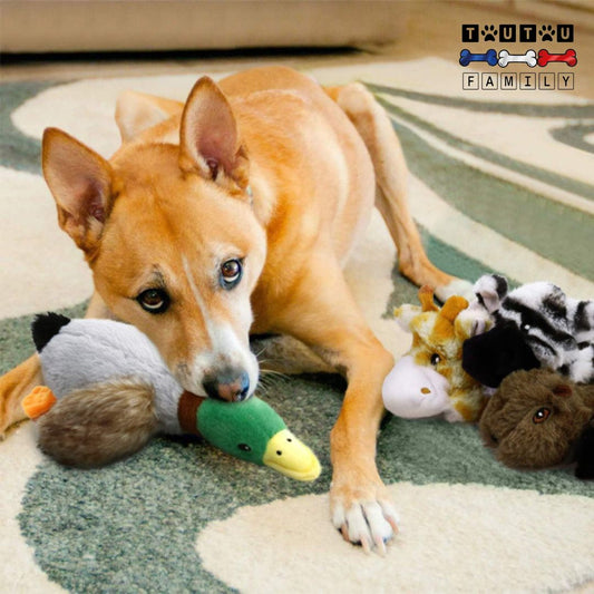 peluche-pour-chien-canard-chiot-peluche-en-coton-naturel-sans-danger-sans-éléments-amovible