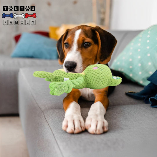 peluche-pour-chien-interactive-doudou un basset qui mord et se détend avec sa peluche grenouille dans sa mâchoire jouet anti anxiété de séparation anti stress à mâcher