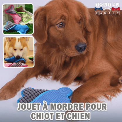 peluche-pour-chien-douce