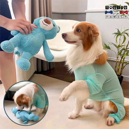 peluche-pour-chien-ours-bleu-doudou-chien-un-chien-de-petite-taille-qui-joue-avec-son-maitre-qui-tient-la-peluche-pour-l-attraper-et-jouer