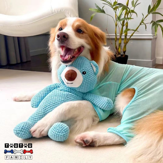 peluche-pour-chien-ours-bleu-anti-anxiete-un-chien-qui-tient-la-peluche-dans-ses-pattes-pour-un-calin-comme-un-doudou