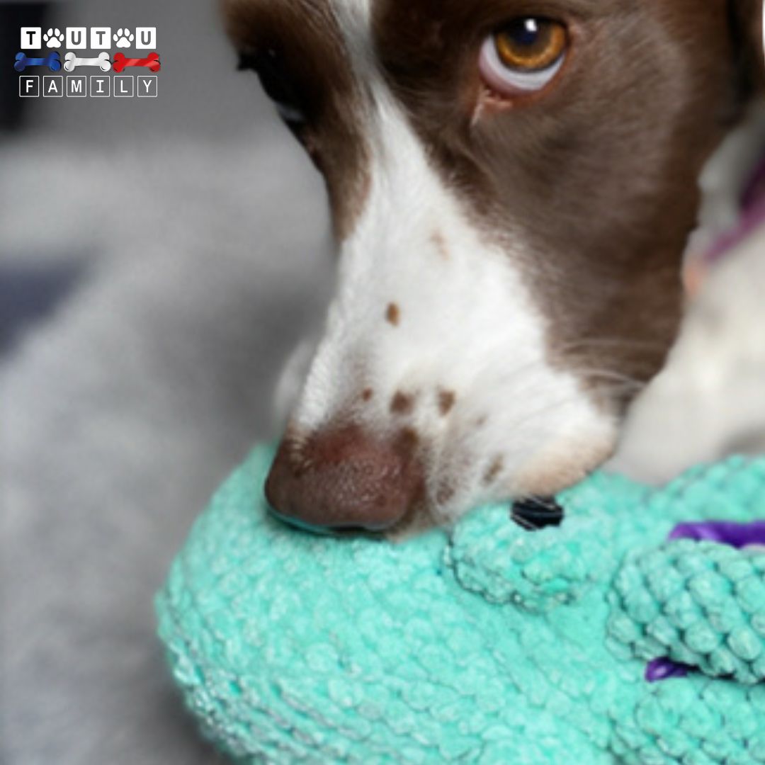 Jouet En Peluche Pieuvre Pour Chien - Avec Couineur, Anti-Stress, Pour Tirage Et Mastication