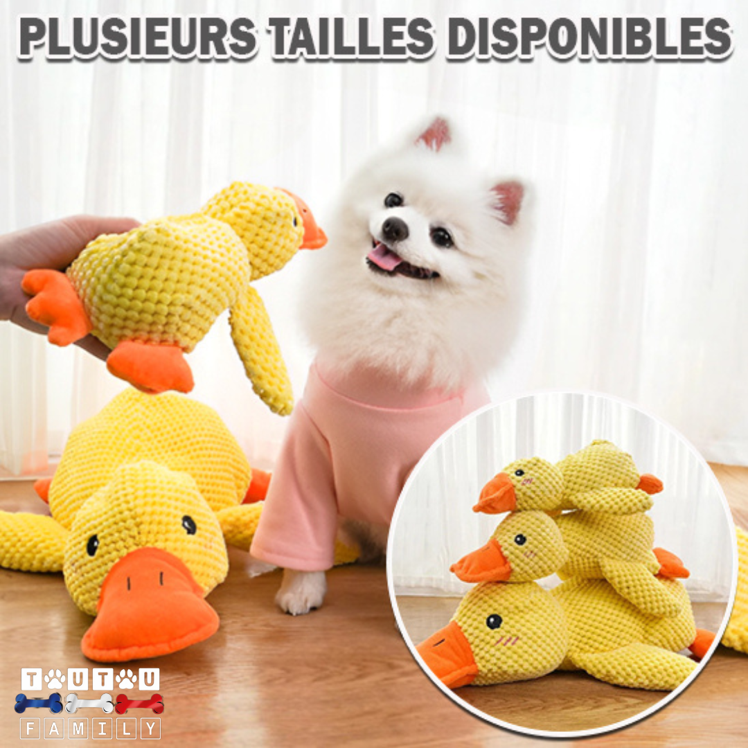 peluche-pour-chien