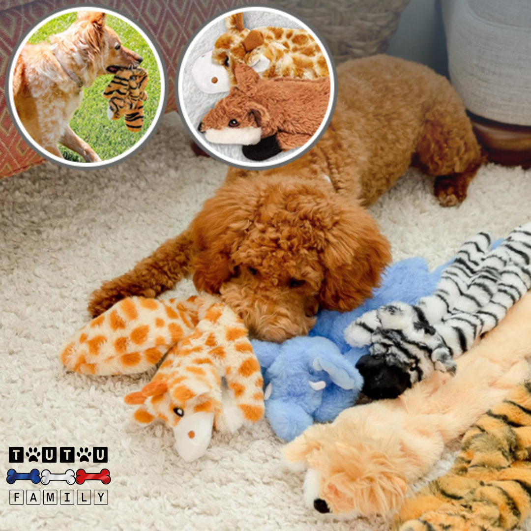 Peluche pour chien tres resistant online