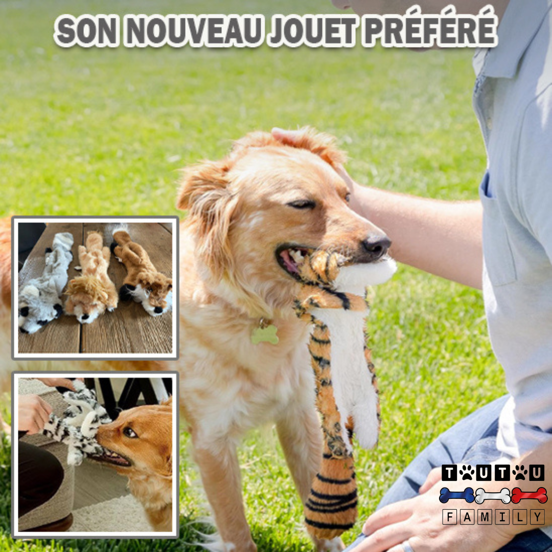 Peluche pour chien indestructible  - PelucheToutou™