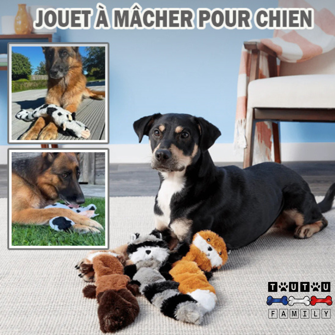 Peluche pour chien indestructible  - PelucheToutou™