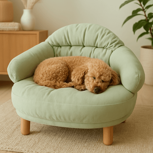 petit-canapé-pour-chien-design arrondi et ligne épuré- un caniche nain qui dort confortablement en boule sur le canapé au matelas, dossier et accoudoir 100% coton haute densité et ergonomique-lit-anti-anxiété pour chiot chien de petite taille et race toy