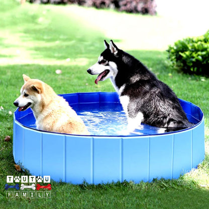 Piscine-pour-chien-pliable-antidérapant-hauteur-adapté-au-chien-pour-une-entrée-et-sortie-en-toute-autonomie-stable-avec-ses-parois-rigides-pour-tout-terrain-remplissage-facile-et-rangement-pliable