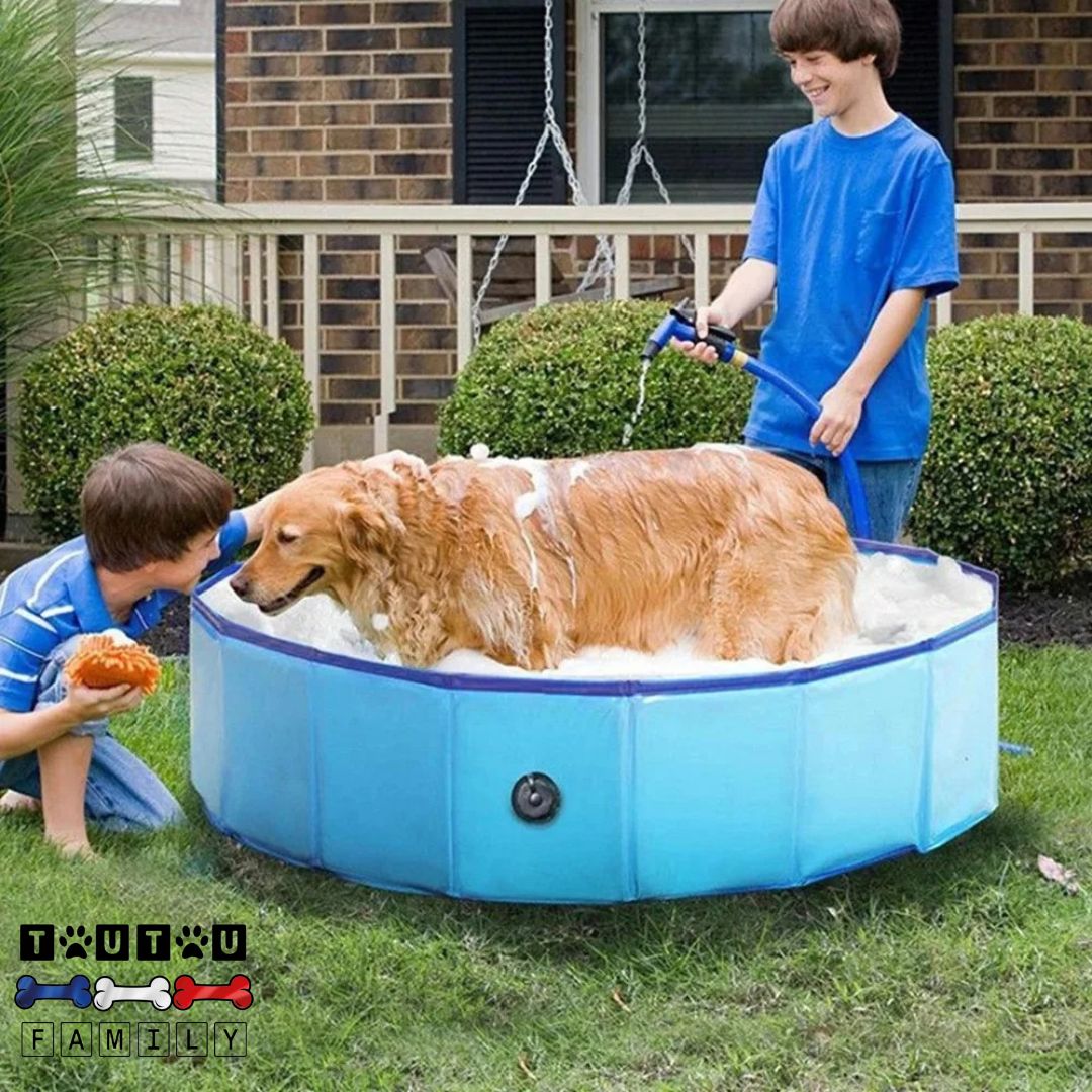 Piscine-pour-chien-toilettage-bain-un-adolescent-et-son-frère-qui-font-le-bain-et-lave-leur-chien-dans-la-piscine-dépliable