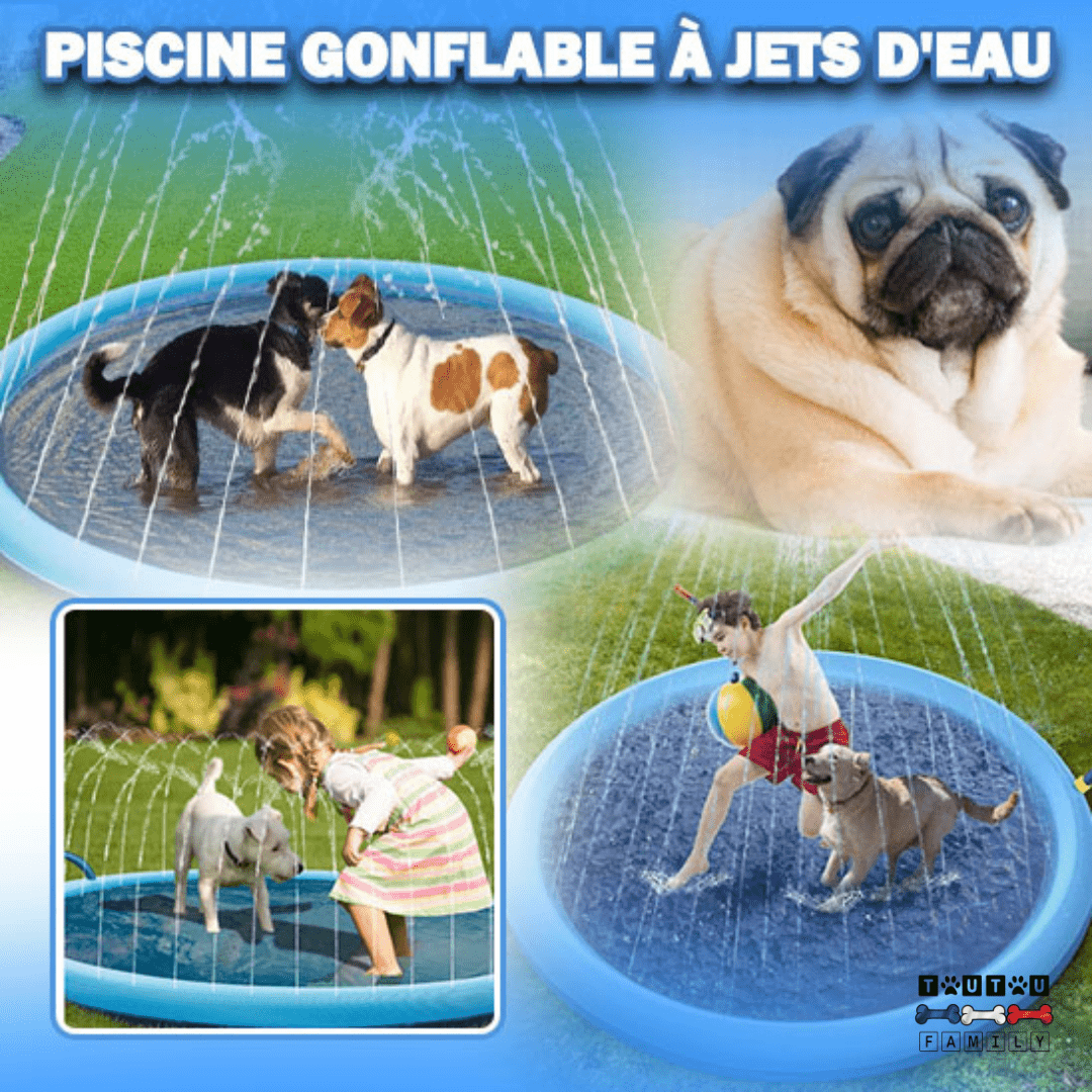 Piscine pour chien - SplashToutou™