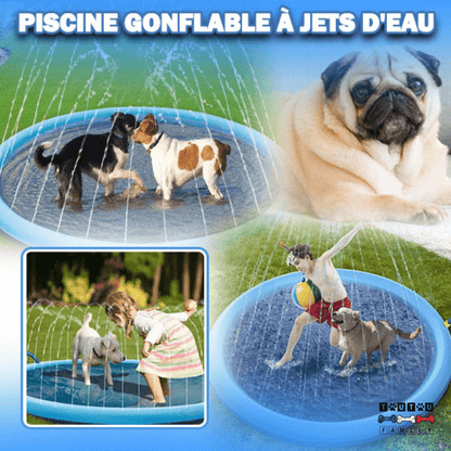 Piscine pour chien - SplashToutou™