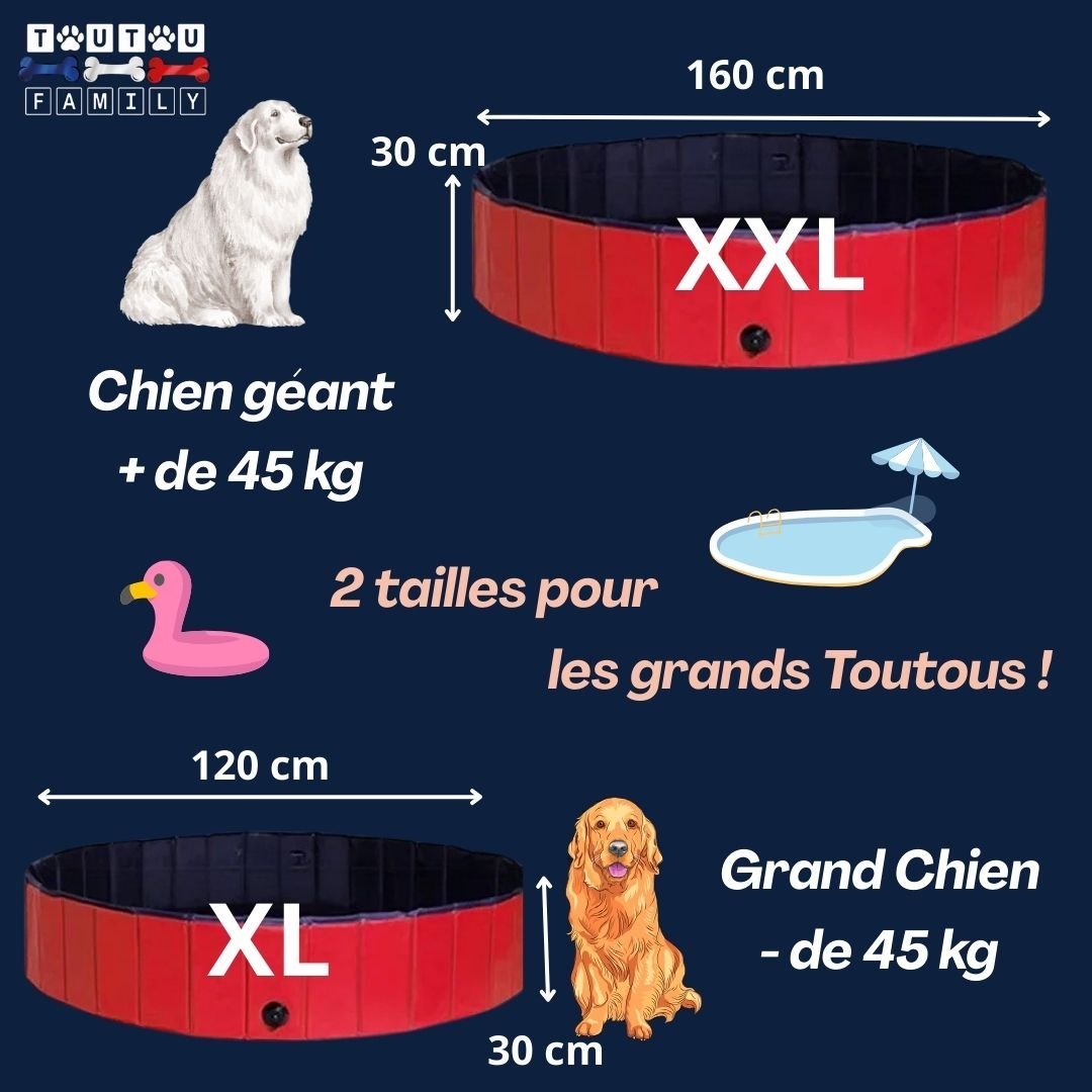 Piscine-pour-chien-guide-de-taille-du-XL-XXL-pour-grand-et chien-géant