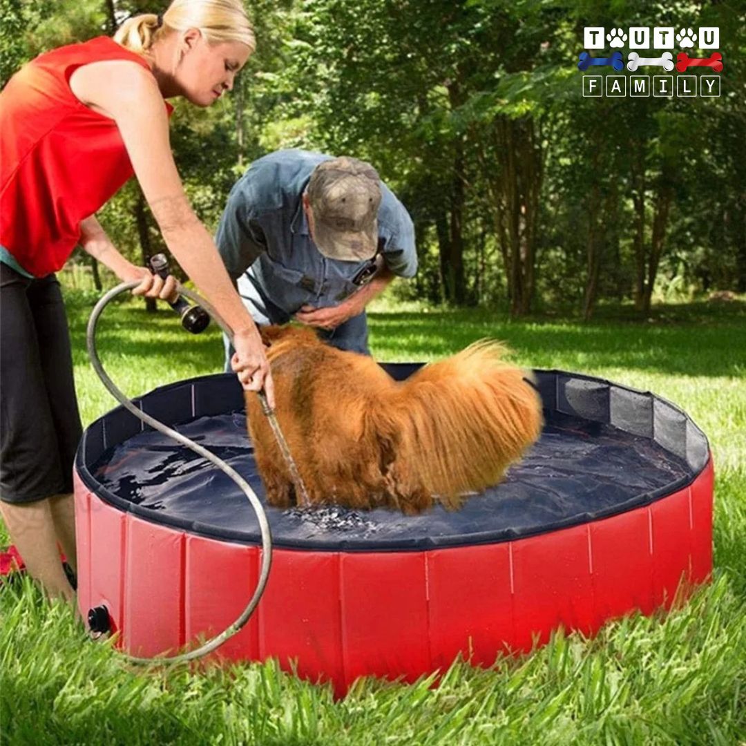 Piscine-pour-chien-xxl-rouge-des-propriétaire-qui-arrosent-et-lavent-leur-grand-chien-à-poils-long-dans-la-piscine-xxl-avec-bouchon-de-vidange-facile