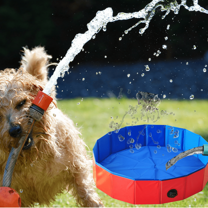 Piscine-rigide-pour-chien chiot, pliable, transportable, antidérapante, résistante aux griffes- de diamètre 80 cm avec bouchon de vidange facile- gros plan sur la piscine rouge et bleu