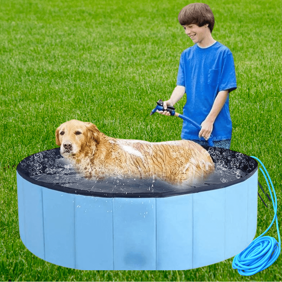 Piscine-rigide-pour-chien chiot, pliable, transportable, antidérapante, résistante aux griffes- de diamètre 80 cm avec bouchon de vidange facile- gros plan sur la piscine bleu