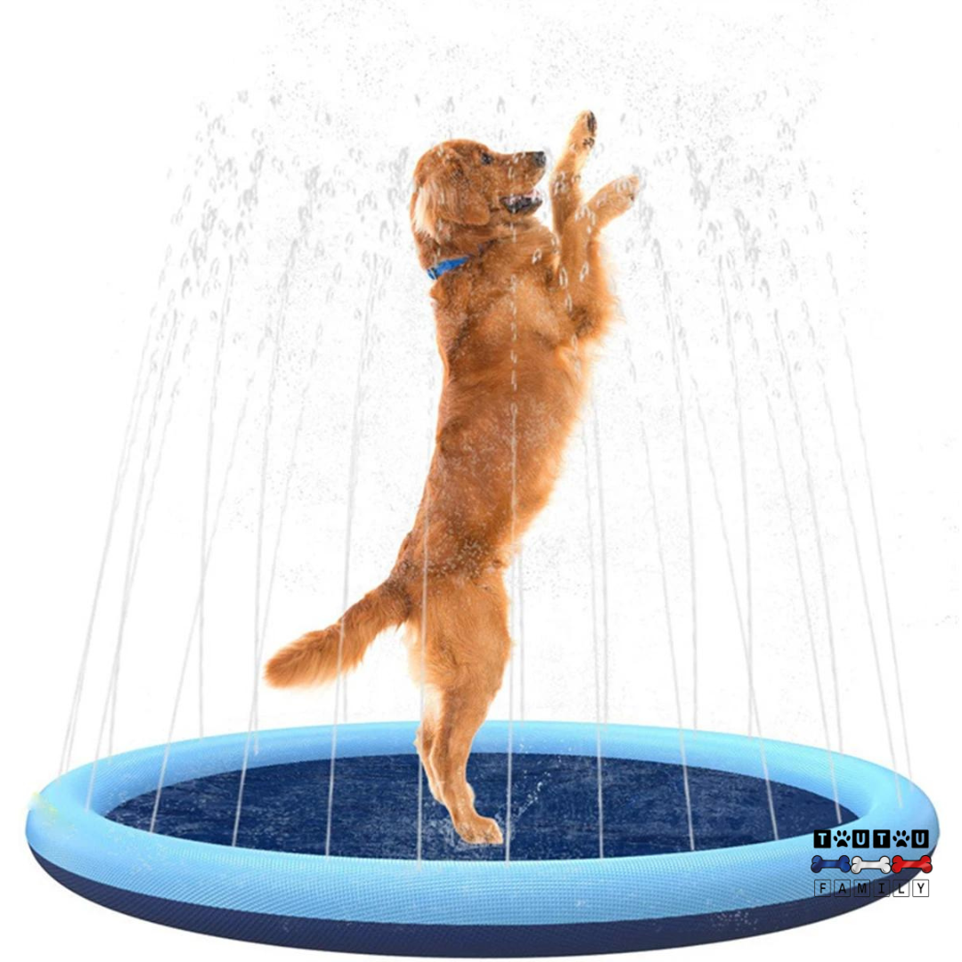 Piscine pour chien - SplashToutou™