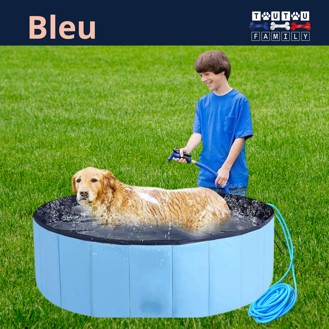 Piscine rigide pour chien  - CoolToutou™