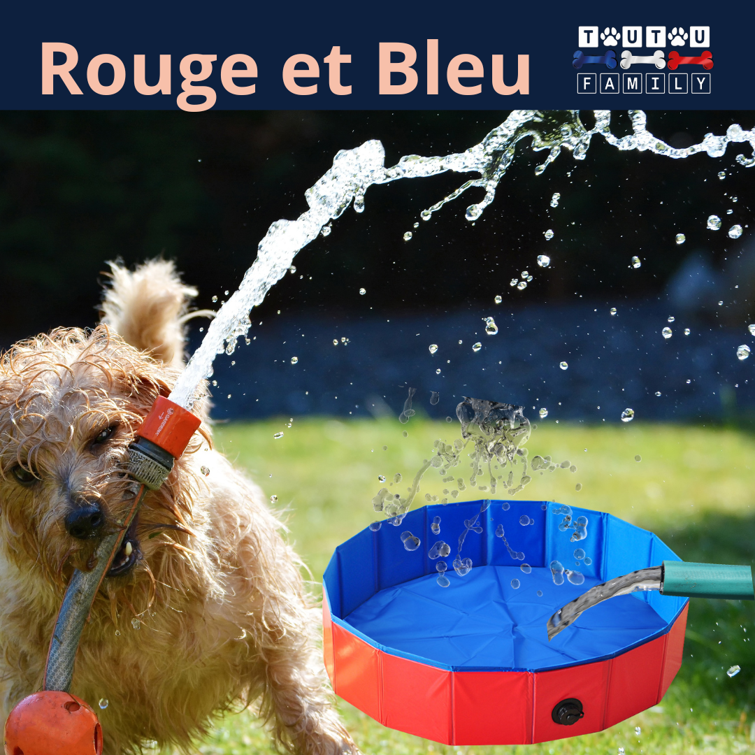 Piscine rigide pour chien  - CoolToutou™