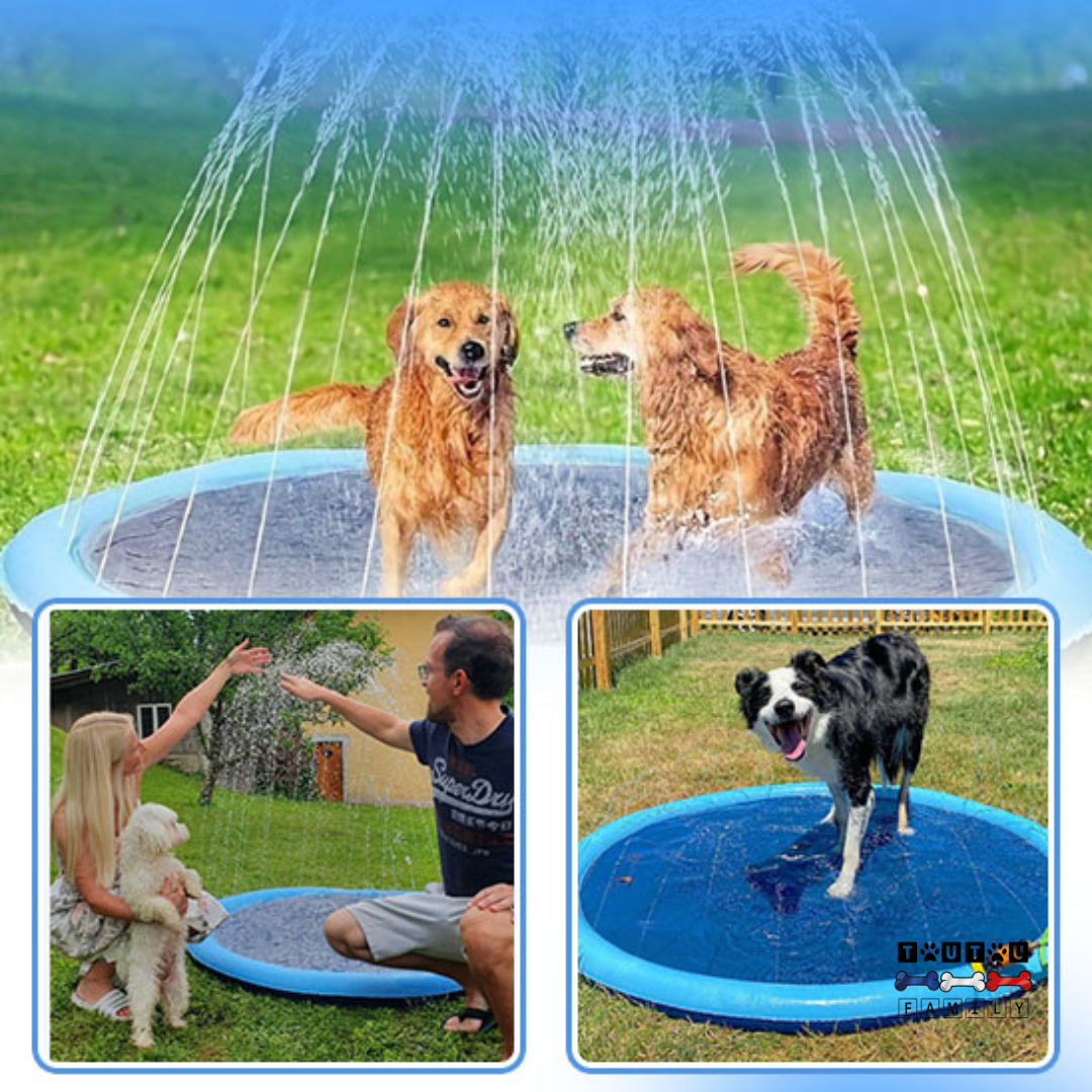 Piscine pour chien - SplashToutou™