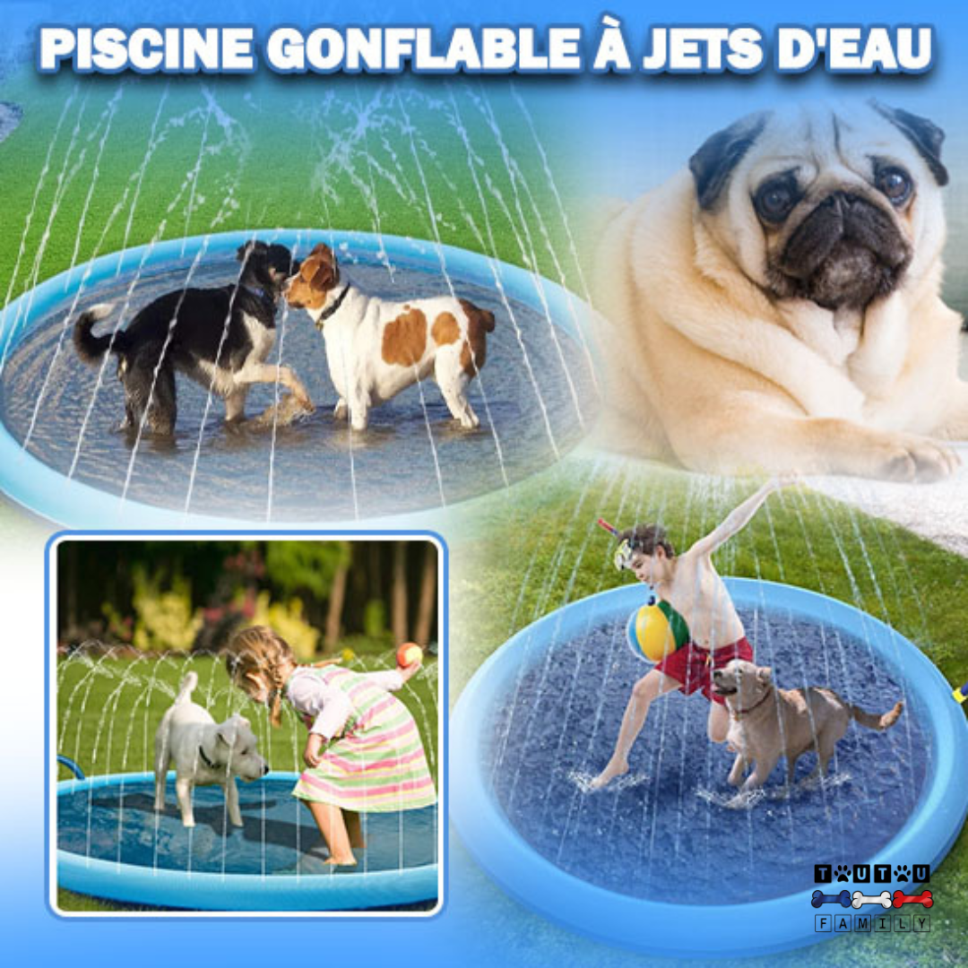 Piscine pour chien - SplashToutou™