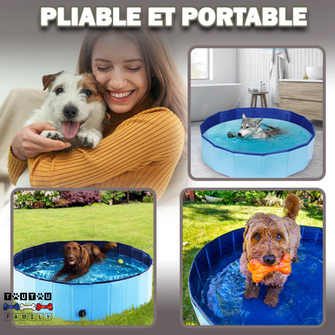 Piscine rigide pour chien  - CoolToutou™