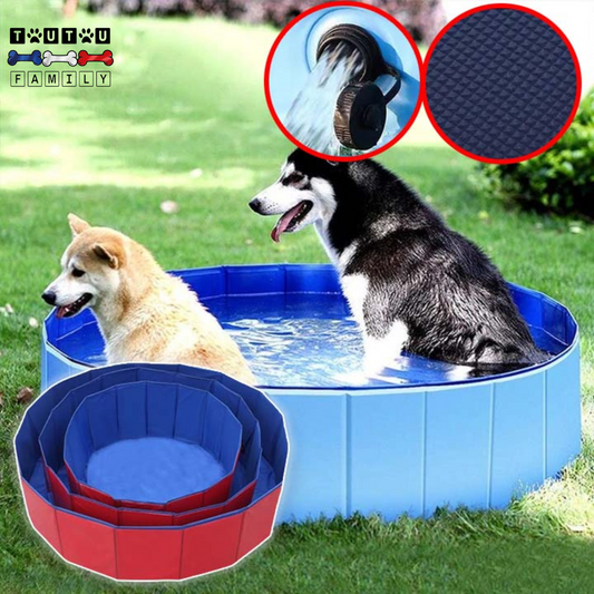 Piscine rigide pour chien  - CoolToutou™