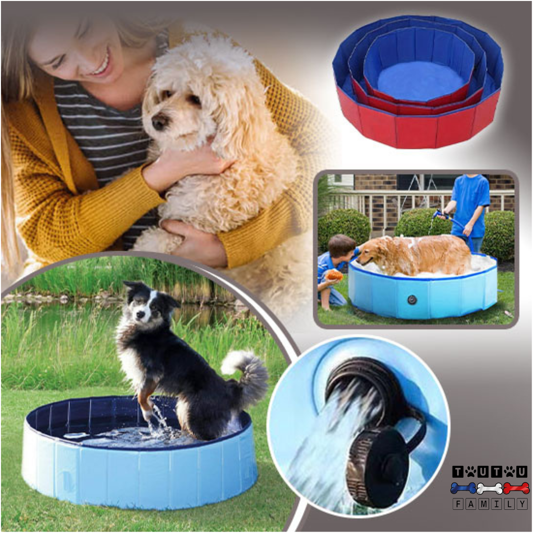 Piscine rigide pour chien  - CoolToutou™